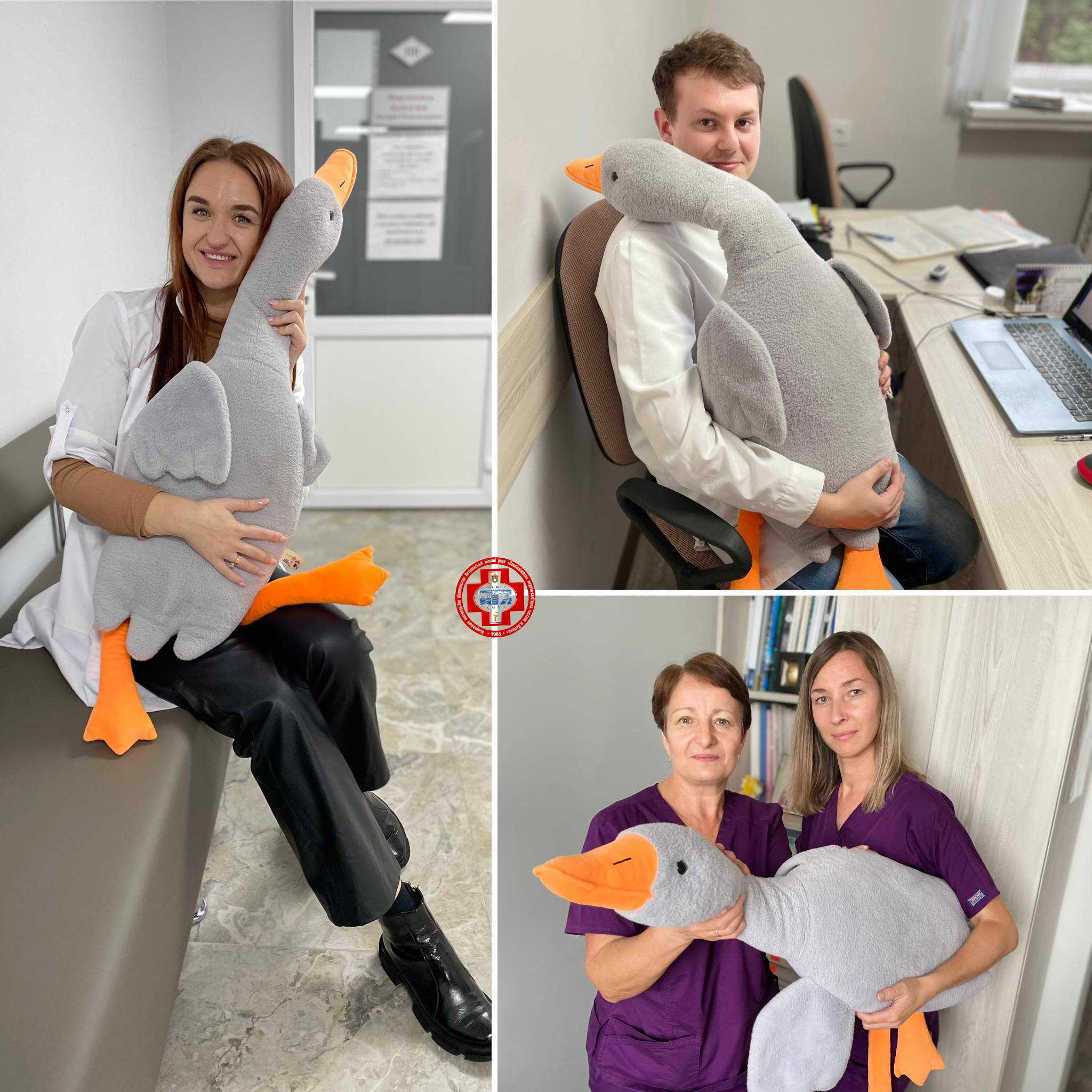 Всесвітній день психічного здоров'я. Антистрес від Гусь-обіймусь: міцніше, тепліше, від душі